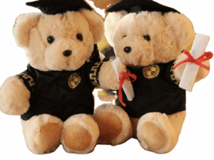 Graduation Bear (Customised) GB2